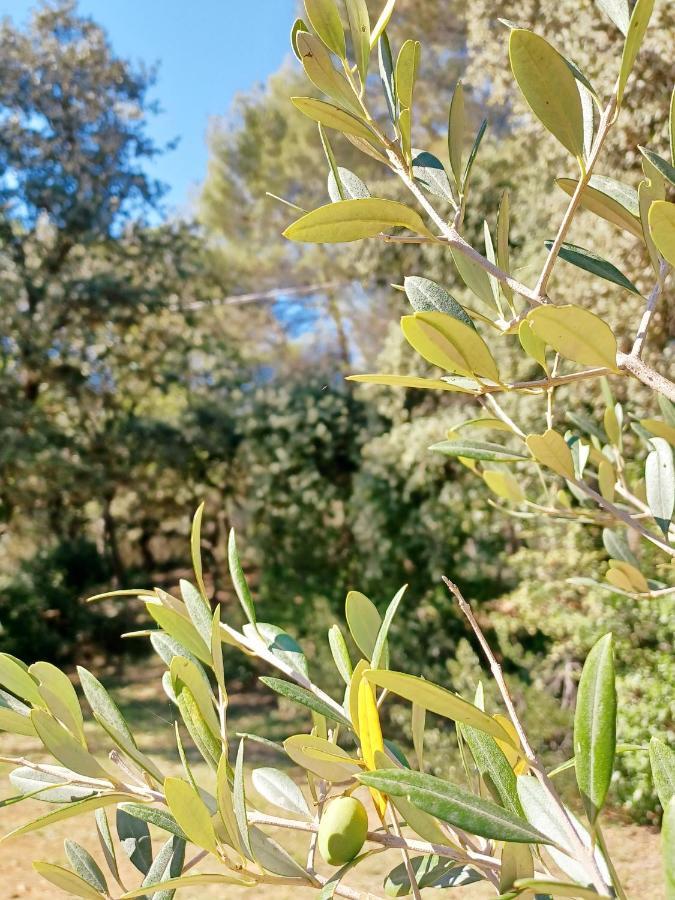 Studio Avec Jardin Entre Aix-En-Provence, Luberon Et Verdon Peyrolles-en-Provence Екстериор снимка