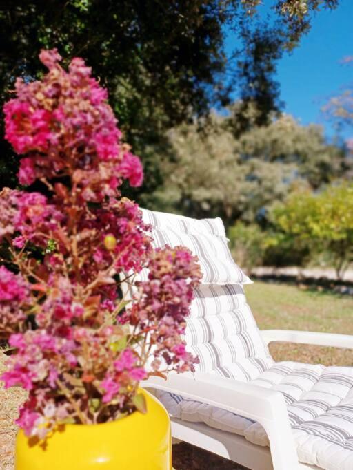 Studio Avec Jardin Entre Aix-En-Provence, Luberon Et Verdon Peyrolles-en-Provence Екстериор снимка